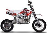 150 AM-D2 2009-Pit-bike