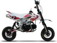 88 AM-D1 01/2009-Pit-bike