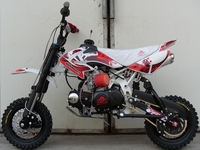 AM-D1 88cm3 2008-Pit-bike