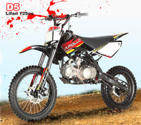 APOLLO 125 AM-D5 2011 -roues 14/17''-Pit-bike