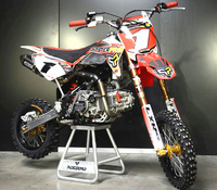 PITSTERPRO LXR150RR 2013, moteur UPower 150-4S, Arrow full carbone, full Nissin...-Pit-bike