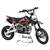 138 PILOT 2007 classic-Pit-bike