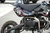 pit bike 150 POISON -16 Chevaux--Pit-bike